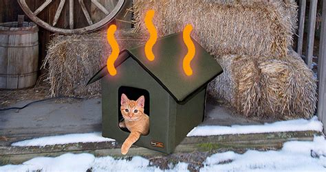 Outdoor Cats Will Love Relaxing In This Heated Cat House