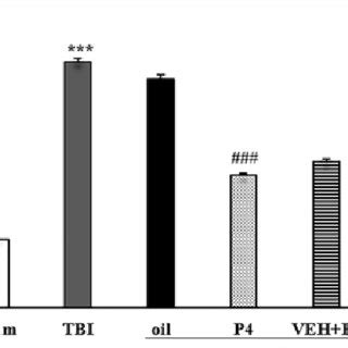 Effects of progesterone and progesterone receptor antagonist on brain... | Download Scientific ...