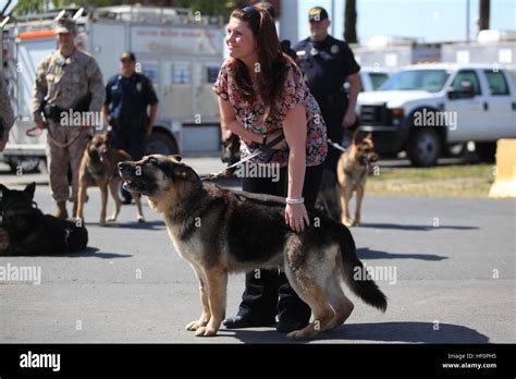 Real Life Megan Leavey Shares Stories of Dog Rex and Megan Leavey Movie - oggsync.com