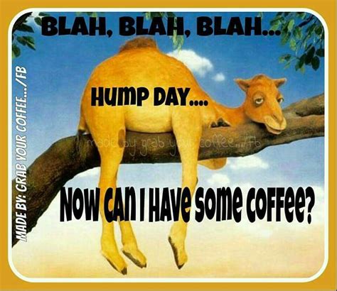 Blah Blah Blah Hump Day Can I Have Coffee | Wednesday hump day, Funny ...