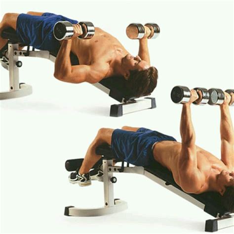 Decline Dumbbel Bench Press by Jacco Obermeier - Exercise How-to - Skimble