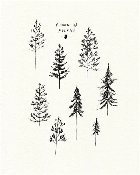 Pin by Susie Broms on tats in 2023 | Tree tattoo small, Pine tattoo, Simple tree tattoo