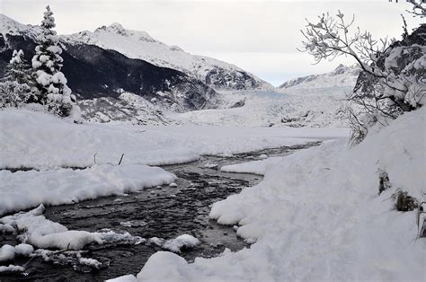 Mendenhall Glacier in Winter Photograph by Cathy Mahnke - Fine Art America