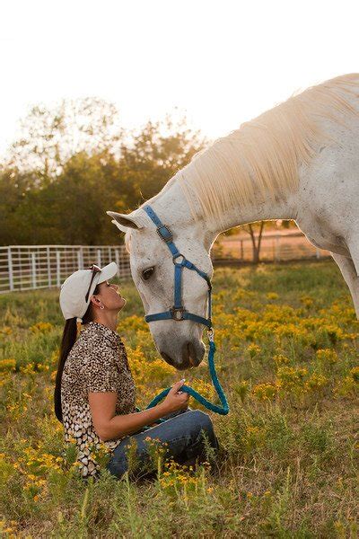 Proposal would brand horses treated with Bute | Hippies for Horses