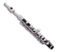 Flute Family - The Flute