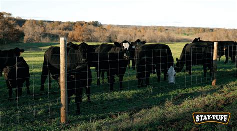 How to Build a Cattle Fence: A Step-By-Step Guide | Stay-Tuff