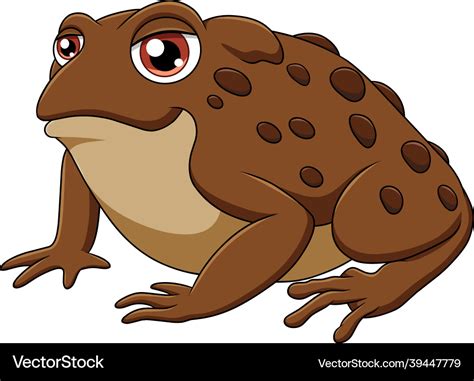 Cute toad cartoon Royalty Free Vector Image - VectorStock