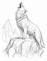 Howling Wolf Coloring Pages For Adults At Webaniyablog Blog sketch template