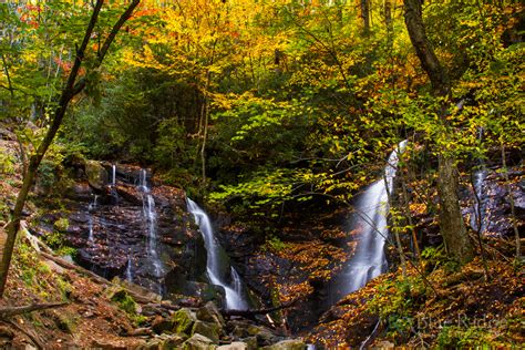 Fall Foliage 2021 Forecast and Guide - Blue Ridge Mountain Life