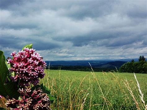 Hazelton, West Virginia by Lucinda Cartwright | West virginia mountains, West virginia, Places ...