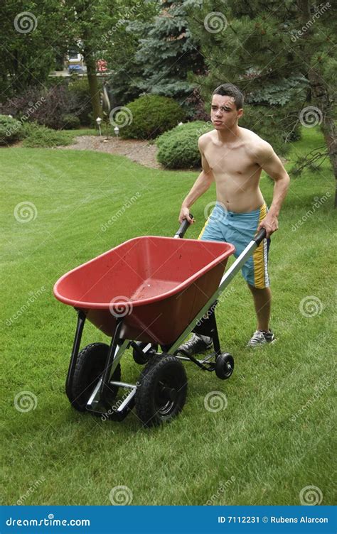 Teenager Pushing Wheelbarrow Stock Image - Image of teenage, yard: 7112231