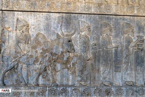 Photos: Reliefs of Persepolis