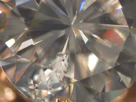 Under the Scope: Unique Diamond Inclusions | GIA 4Cs