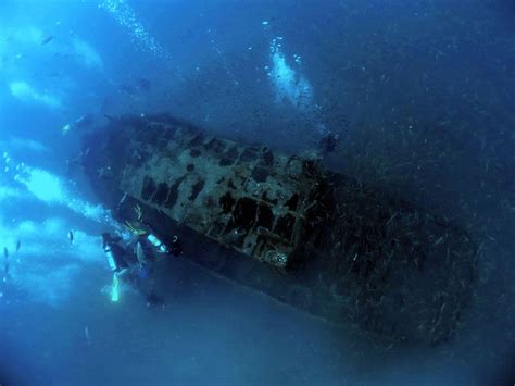 Dive Brunei & Rainforest Discovery II - Poni Divers Brunei