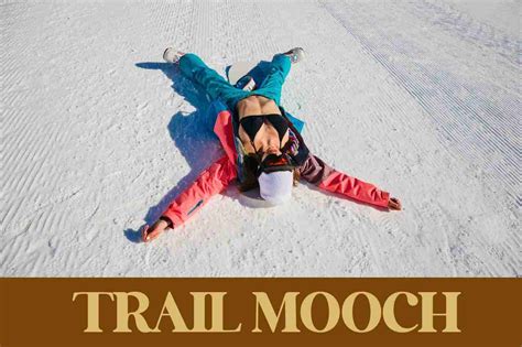 Best Ski Bibs: Stay Warm and Stylish on the Slopes! - Trail Mooch