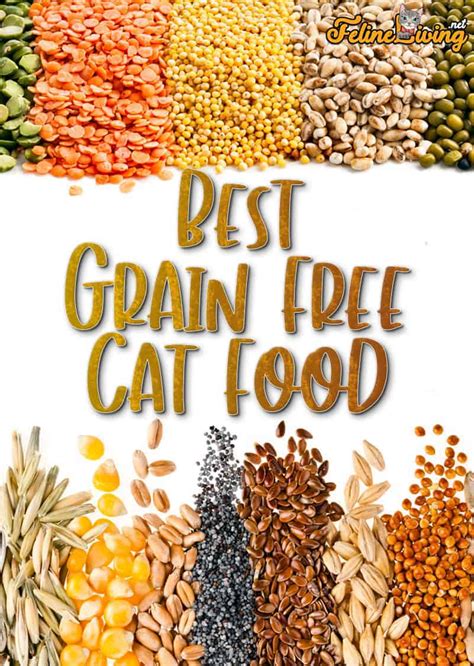 Best Grain Free Cat Food Reviews January 2024: 6 Top Brands Revealed!