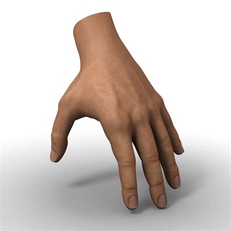 3d human hand