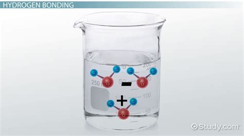 Facts About Water Molecules: Structure & Properties - Video & Lesson Transcript | Study.com