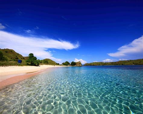 Pink Beach Komodo Island Indonesia