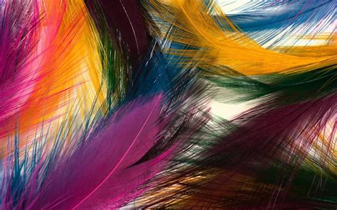 Colorful Feather HD desktop wallpaper : Widescreen : High Definition : Fullscreen