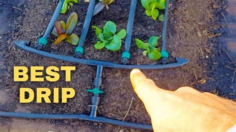 Ultimate Garden Bed Irrigation System *NEW* Design - YouTube