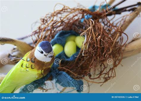 Bird with Easter eggs. stock photo. Image of background - 20742326