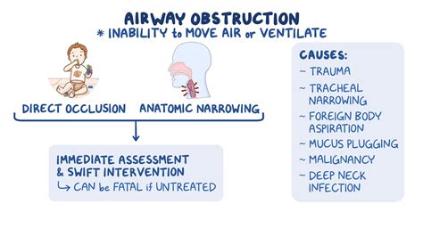 Airway obstruction: Clinical sciences - Osmosis Video Library