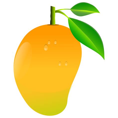 Mango clipart cherry, Mango cherry Transparent FREE for download on WebStockReview 2024