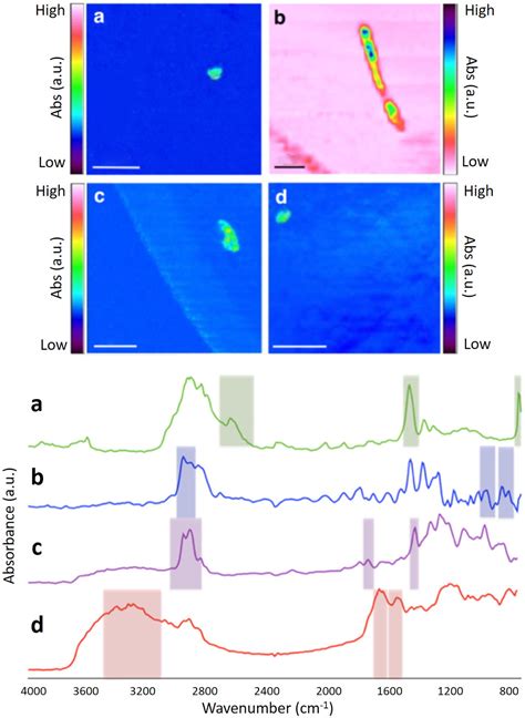 Frontiers | Microplastic Monitoring at Different Stages in a Wastewater Treatment Plant Using ...