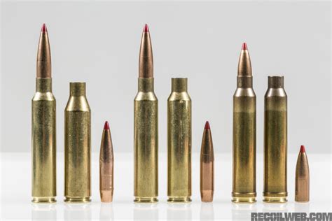 Built to Win: Hornady's New 300 PRC Sets a New Standard | RECOIL