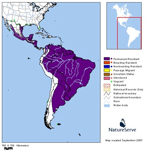 Americas Range Map - Great Kiskadee | BirdPhotos.com