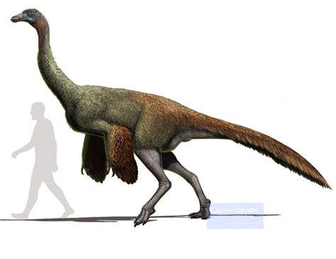 Gallimimus | Paleo Media Wiki | Fandom