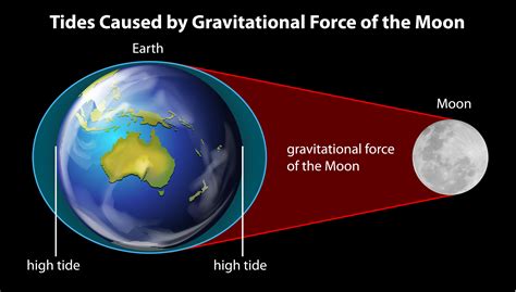 Tidal movements on Earth 430360 Vector Art at Vecteezy