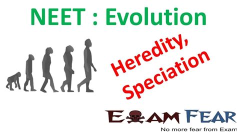 NEET Biology Evolution : Heredity, Natural Selection, Speciation - YouTube