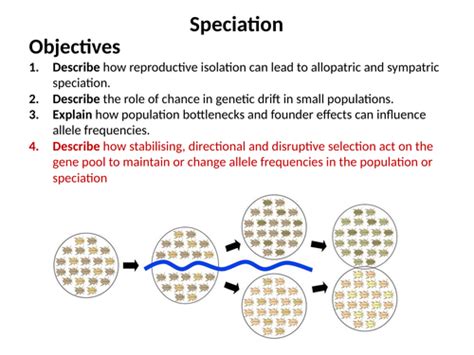 Natural selection, speciation and types of selection: Three lessons ...