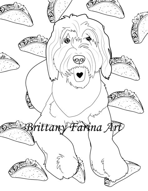 Dog Coloring Page Doodle Coloring Page Golden Doodle - Etsy