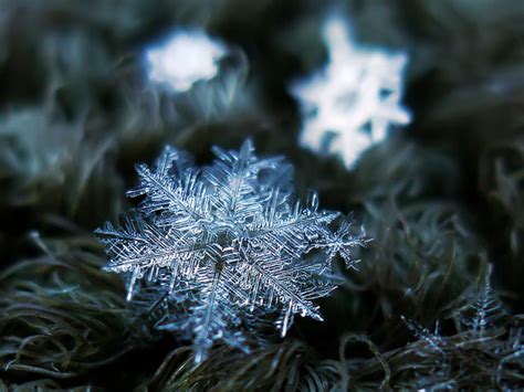 How to take Macro Snowflakes Photography under $50 Customized Lens