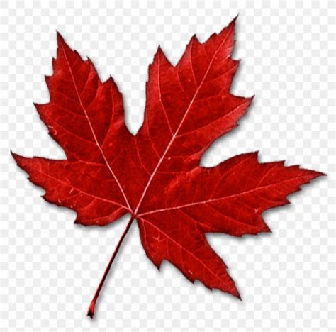 Canada Maple Leaf Clip Art, PNG, 850x841px, Canada, Flag Of Canada ...