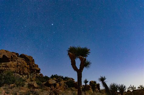 Joshua Tree Night Sky – My Photography