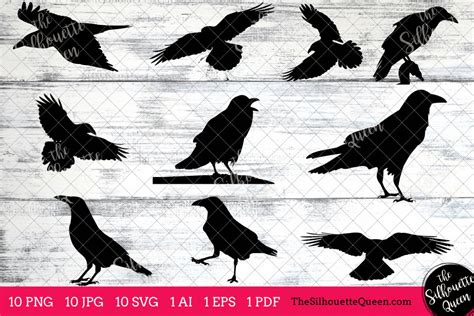 Raven Silhouette Clipart Clip Art(AI, EPS, SVGs, JPGs, PNGs, PDF ...