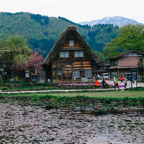 Ultimate Guide to Viewing Cherry Blossoms in Japan