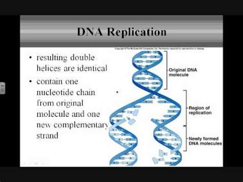 Nucleic Acids & Protein Synthesis Part 1 - YouTube