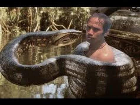 Horror anaconda snake attack in animation - YouTube