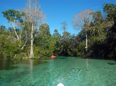 Weeki Wachee River