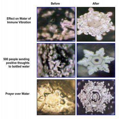 In a study conducted by Japanese scientist, Dr.Masaru Emoto, found that the water was "alive ...