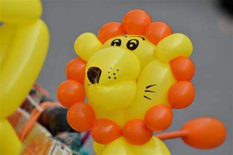 Free picture: balloon, decoration, funny, lion, orange yellow, colorful, fun, toy, helium, health