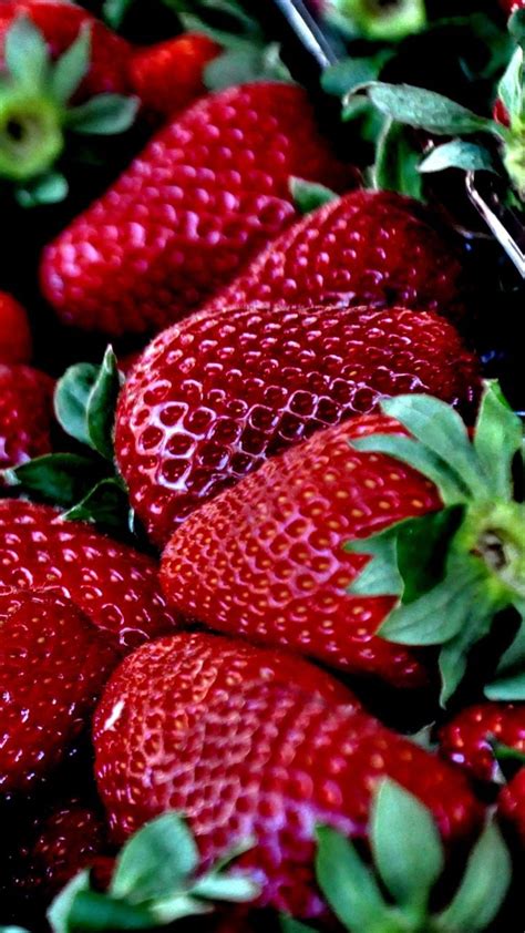 Download Wallpaper 720x1280 Strawberries, Berries, Ripe Samsung Galaxy S3 HD Background | Fruit ...