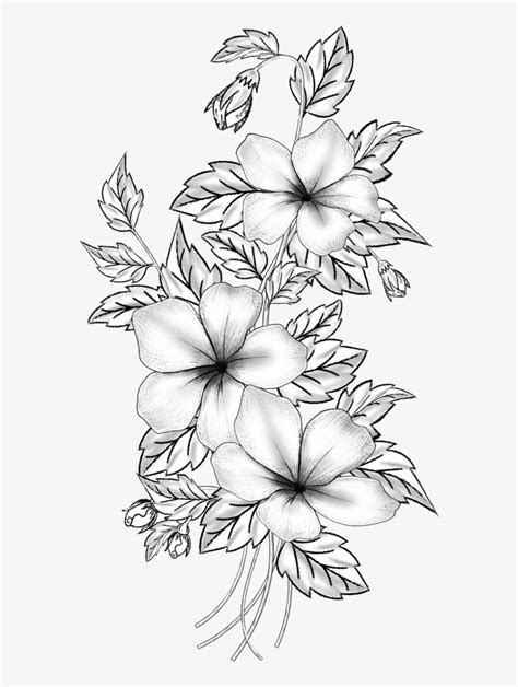 Sketch Flower Design