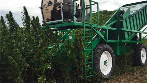 Nicholson Launches Hemp Harvester | Hemp Harvester | Hemp