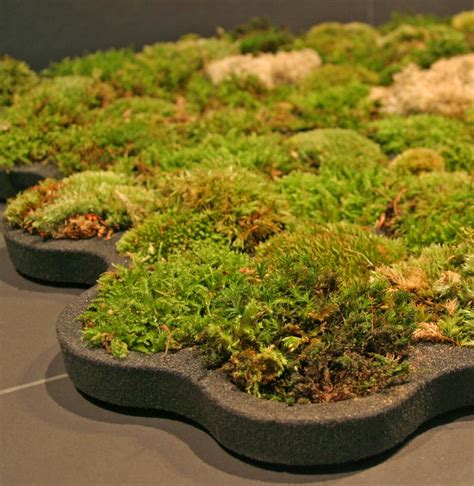 This Moss Shower Mat Lets You Dry Your Feet On Natural Living Moss When Exiting The Shower